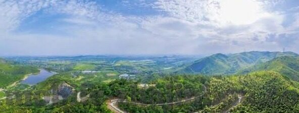 美国大学足球比分-美国大学足球，比分背后的热血与荣耀——深度解析NCAA足球文化