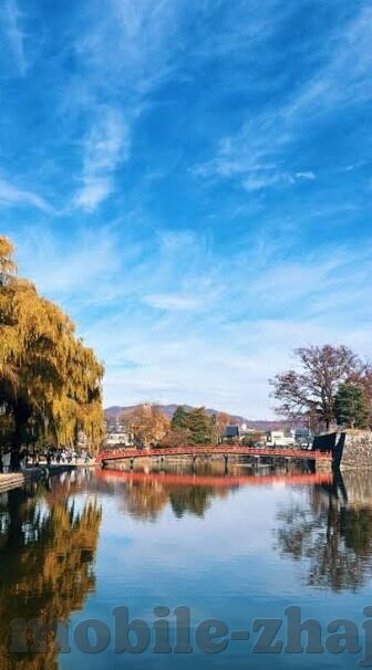 日本塞尔维亚足球比分-日本与塞尔维亚足球对决，比分背后的战术博弈与精神碰撞